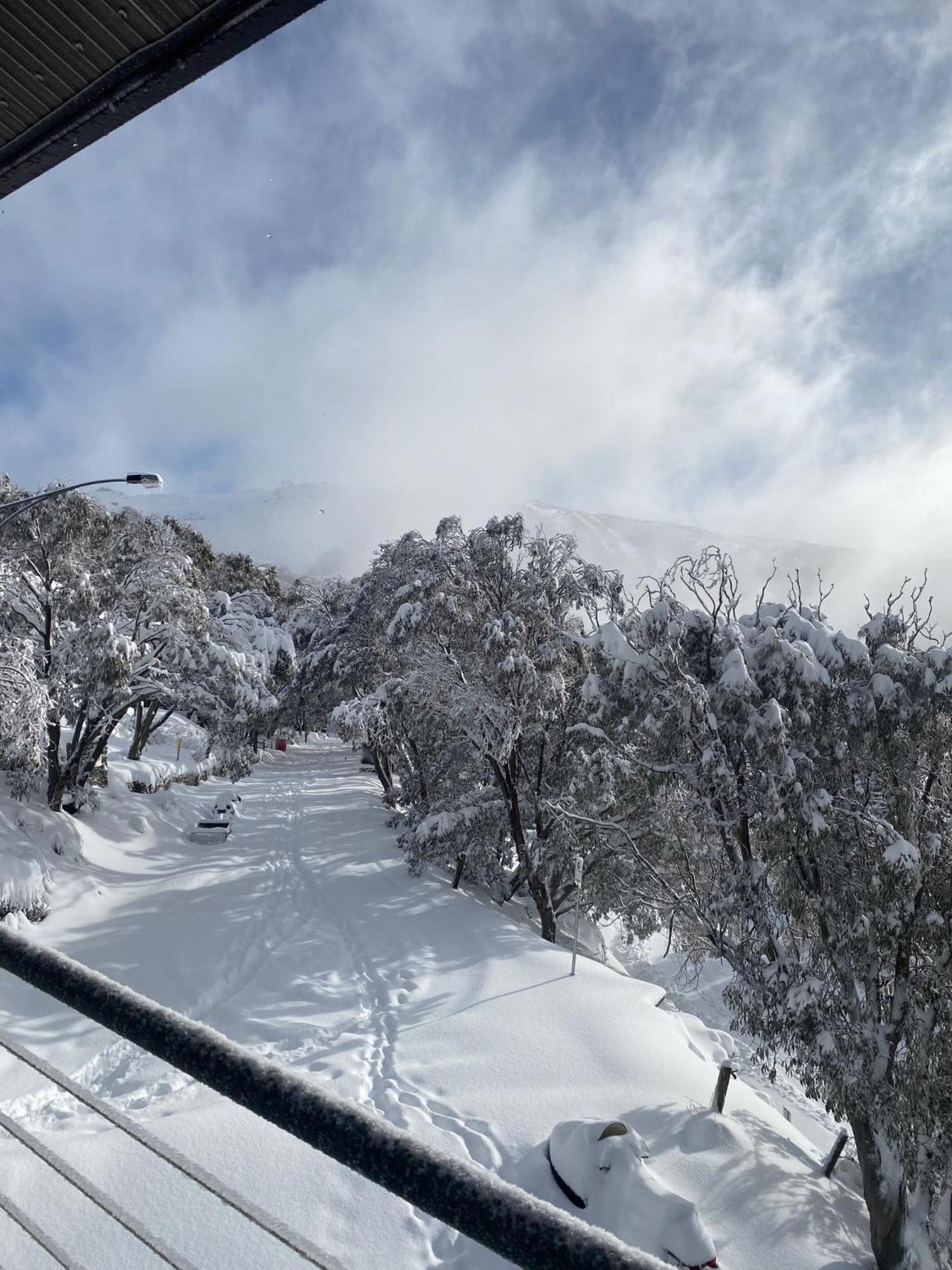 Alpine Woodsmoke Apartments Falls Creek Luaran gambar